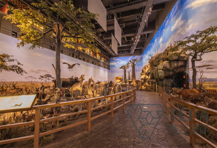 展廳設(shè)計|展館設(shè)計|規(guī)劃館設(shè)計|博物館設(shè)計|檔案館設(shè)計|企業(yè)展廳設(shè)計|主題游樂館設(shè)計|校園文化館設(shè)計|文博館設(shè)計|多媒體展廳|展廳展館設(shè)計施工公司|特發(fā)國際|特發(fā)
