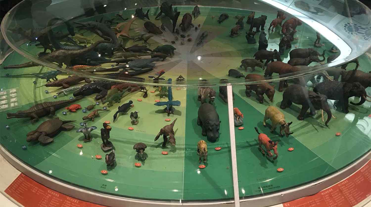 展廳設(shè)計(jì)|展館設(shè)計(jì)|主題游樂館設(shè)計(jì)|校園文化館設(shè)計(jì)|多媒體展廳|文博館設(shè)計(jì)|規(guī)劃館設(shè)計(jì)|展廳展館設(shè)計(jì)施工公司